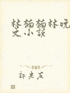 林楠楠林晚林子文小说