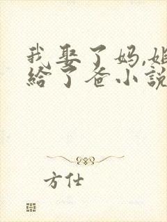 我娶了妈,姐嫁给了爸小说