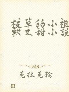 校草的小祖宗又软又甜小说在线阅读