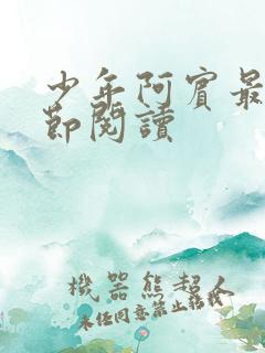 少年阿宾最新章节阅读