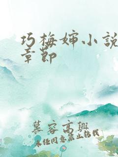 巧梅婶小说最新章节