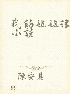 我的姐姐很弟控小说