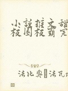 小说推文甜宠文校园校霸完结文
