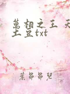 万相之王 天蚕土豆txt