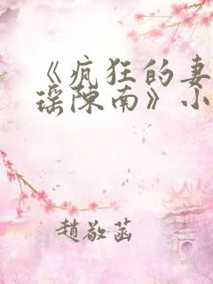 《疯狂的妻子林瑶陈南》小说下载