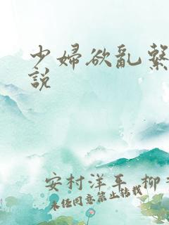 少妇欲乱系列小说