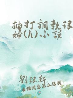 抽打调教很虐贱妇(h)小说