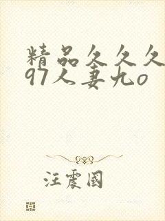 精品久久久久久97人妻九o