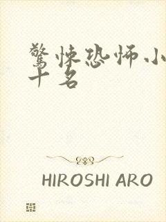 惊悚恐怖小说前十名
