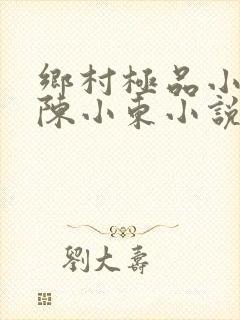 乡村极品小医仙陈小东小说在线阅读