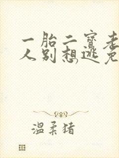 一胎二宝老婆大人别想逃免费阅读