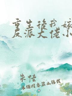 重生后我嫁给了反派大佬小说免费阅读