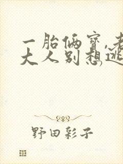 一胎俩宝,老婆大人别想逃原著小说