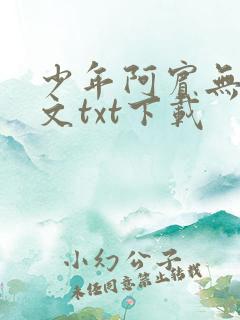 少年阿宾无删全文txt下载