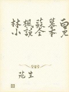 林枫苏慕白穿越小说全本免费阅读最新版