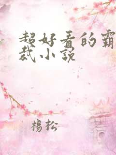 超好看的霸道总裁小说