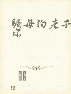 骚母狗老子操死你