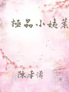 极品小姨叶凡