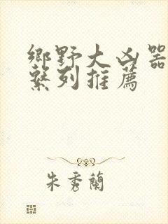 乡野大凶器小说系列推荐