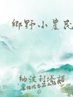 乡野小农民小说