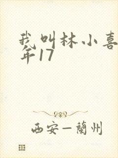 我叫林小喜 今年17
