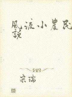风流小农民的小说