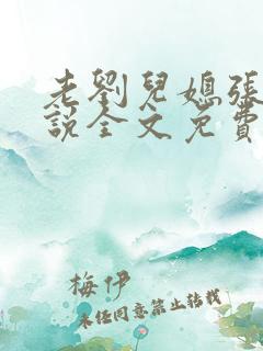 老刘儿媳张岚小说全文免费阅读
