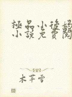 极品小后妈言情小说免费阅读