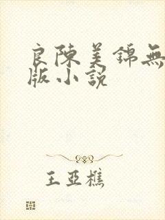 良陈美锦无删减版小说