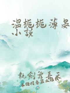 温栀栀薄晏臣的小说