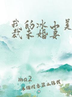 我的冰山美女总裁未婚妻