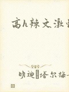 高h辣文激情