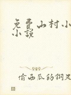免费山村小傻医小说