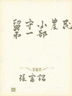 留守小农民小说第一部