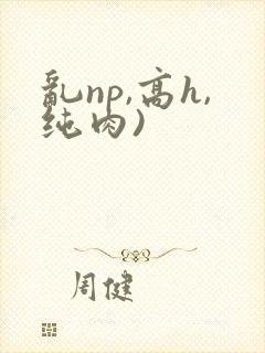 乱np,高h,纯肉)