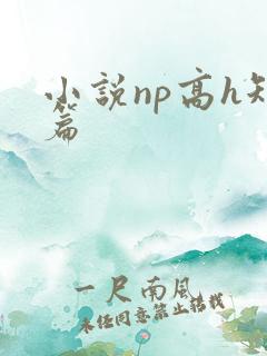 小说np高h短篇