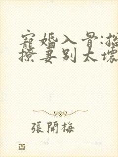 宠婚入骨:总裁撩妻别太坏免费在线阅读