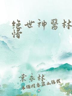 绝世神医林凡叶惜