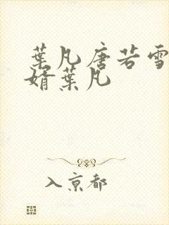 叶凡唐若雪 王婿叶凡