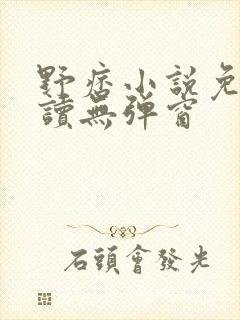 野痞小说免费阅读无弹窗