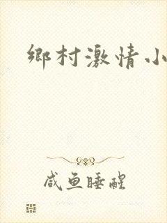 乡村激情小说