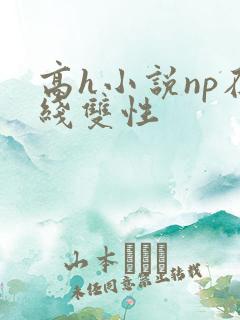 高h小说np在线双性