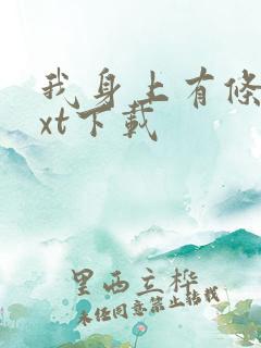 我身上有条龙txt下载