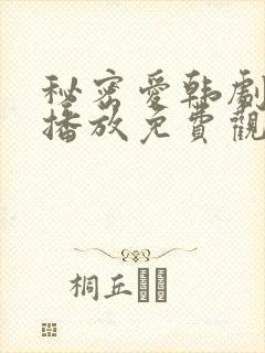 秘密爱韩剧在线播放免费观看