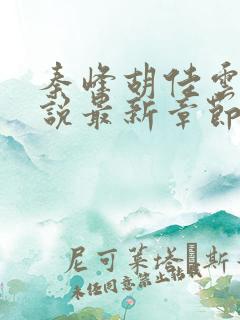 秦峰胡佳云的小说最新章节目录
