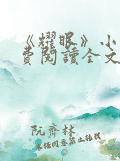 《耀眼》小说免费阅读全文