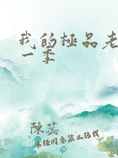 我的极品老婆第一季