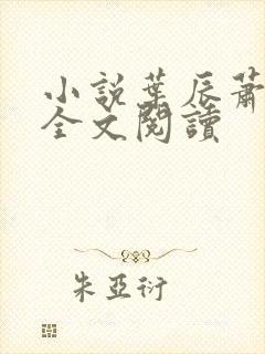 小说叶辰萧初然全文阅读