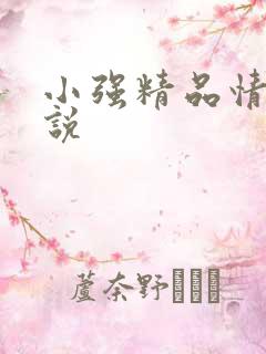 小强精品情欲小说