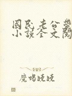 国民老公带回来小说全文阅读